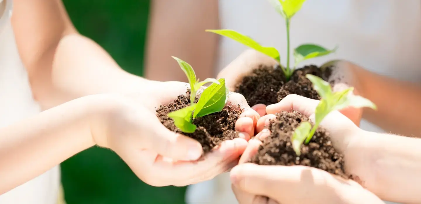 Centara's EarthCare Meeting Package