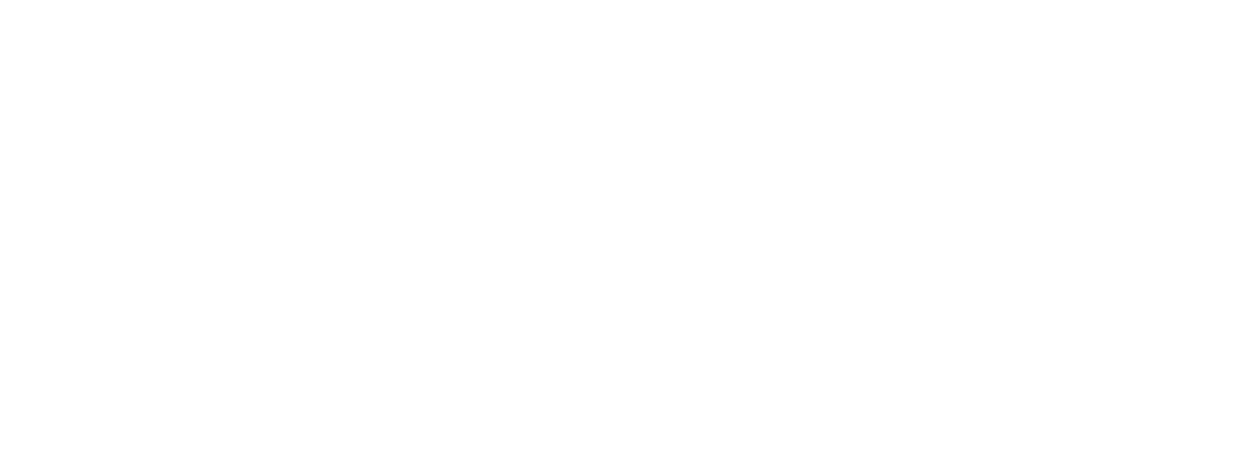 الصفحة الرئيسية