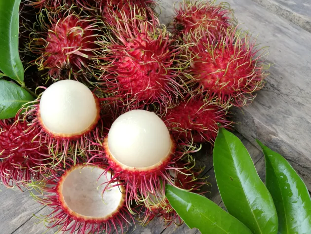 5 Delicious Fruits That Make Thai Cuisine Special