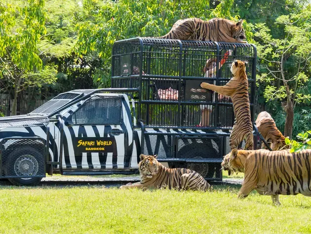 Popular Day Trips from Bangkok