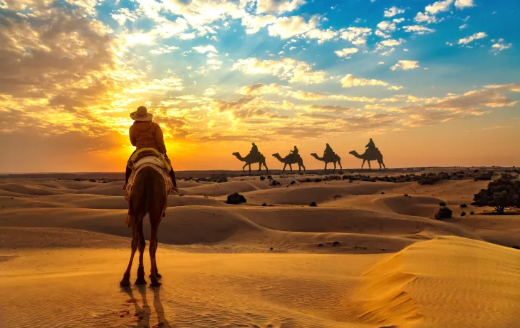 Things to know before going to Dune Safari