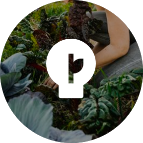 Eco Technology USP