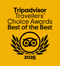 tripadvisor best of the best