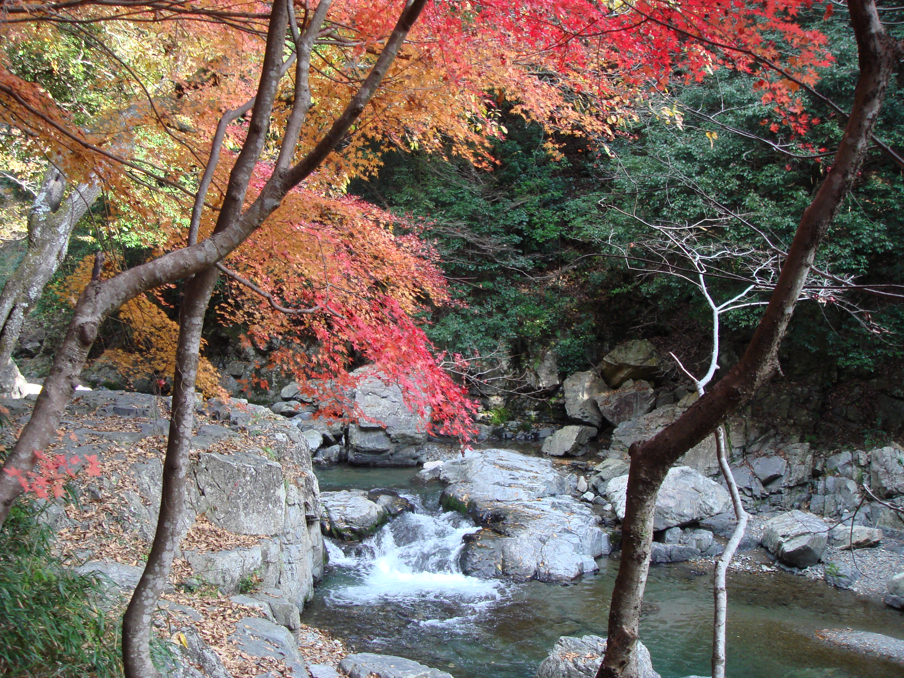 Settsukyo Gorge with vibrant autumn colors