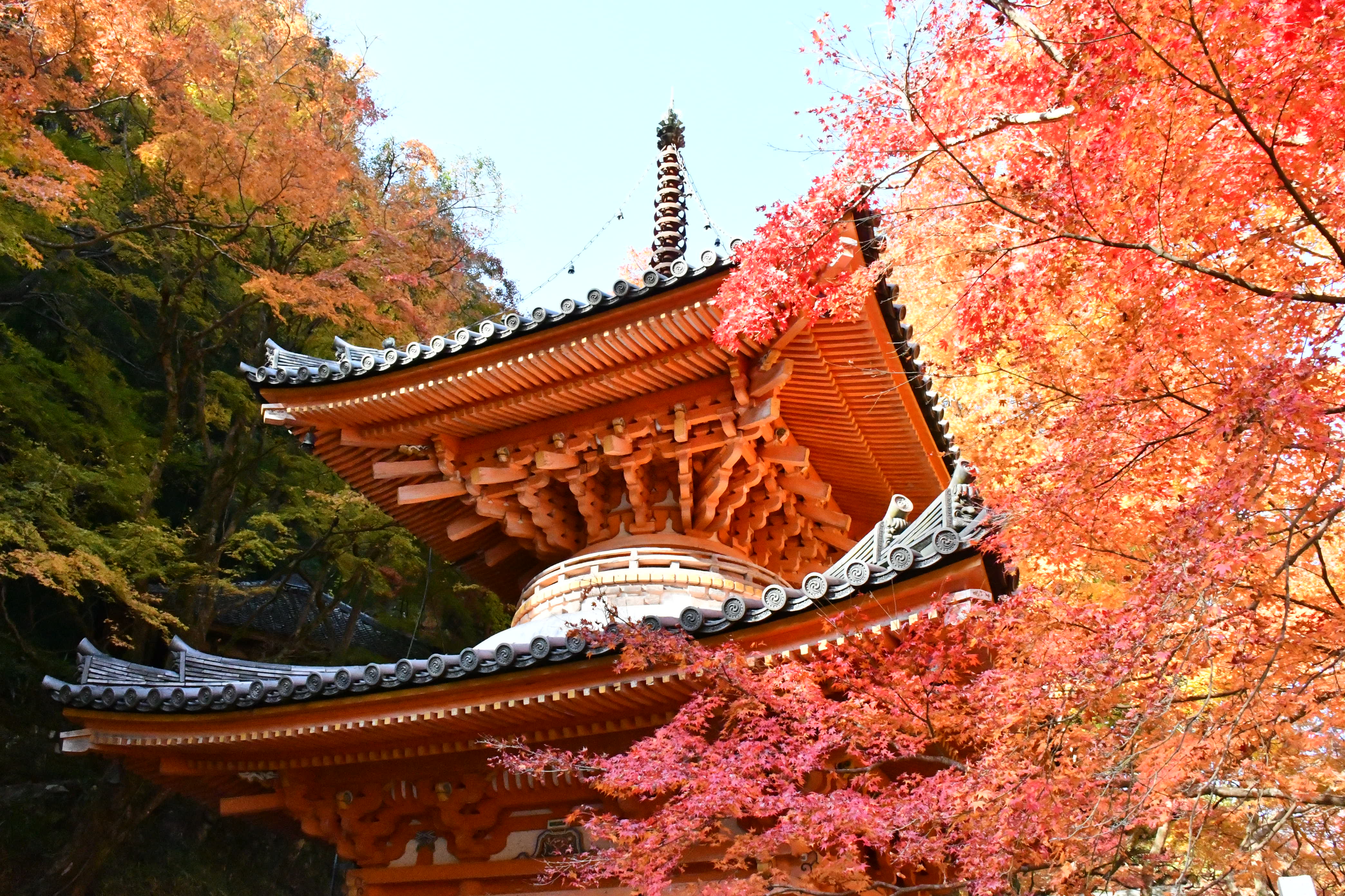 Mt. Ushitaki autumn scenery near Centara Grand Hotel Osaka