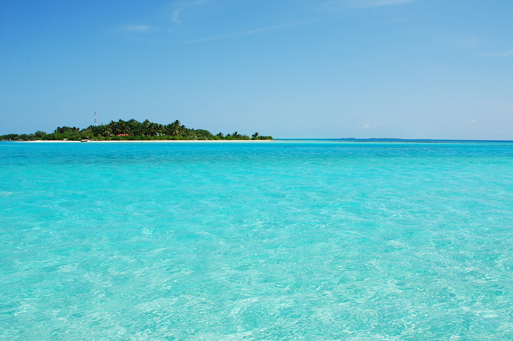 How does Centara Maldives contribute to nature conservation?