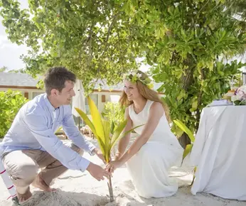 Why Couples Prefer an Adults-Only Resort for Honeymoons