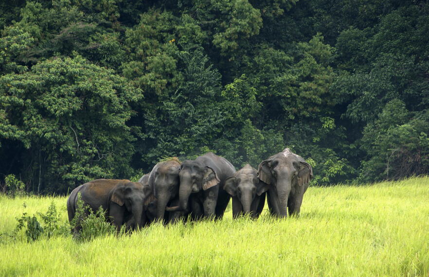 Popular Day Trips from Bangkok