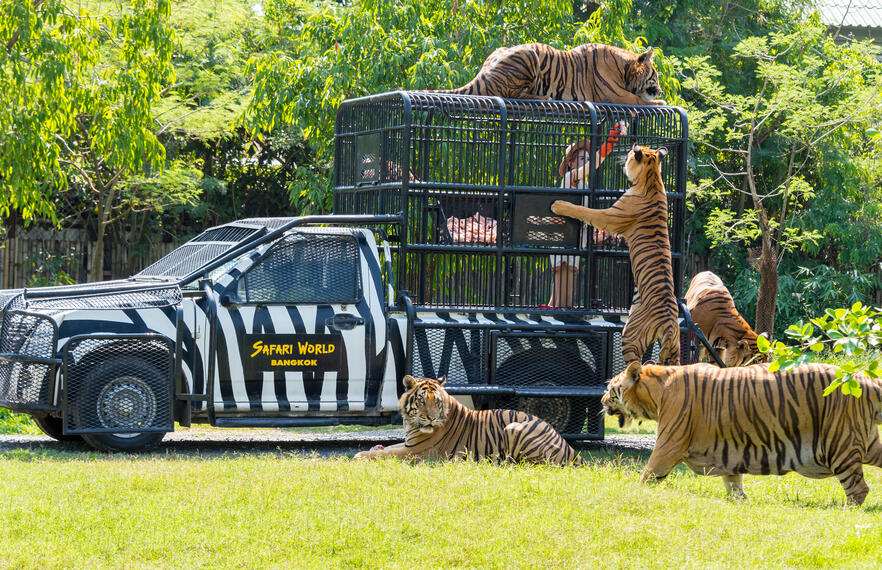 Popular Day Trips from Bangkok