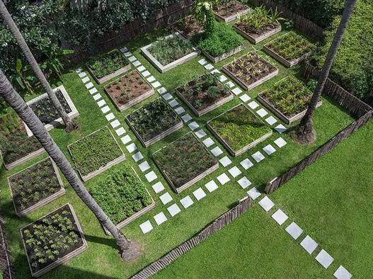 Green travel destination with a tree planting initiative by Centara Hotels & Resorts