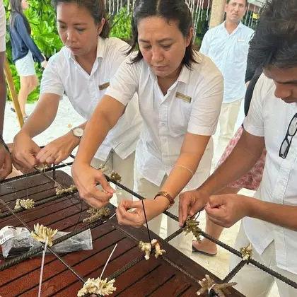 Coral Reef Restoration