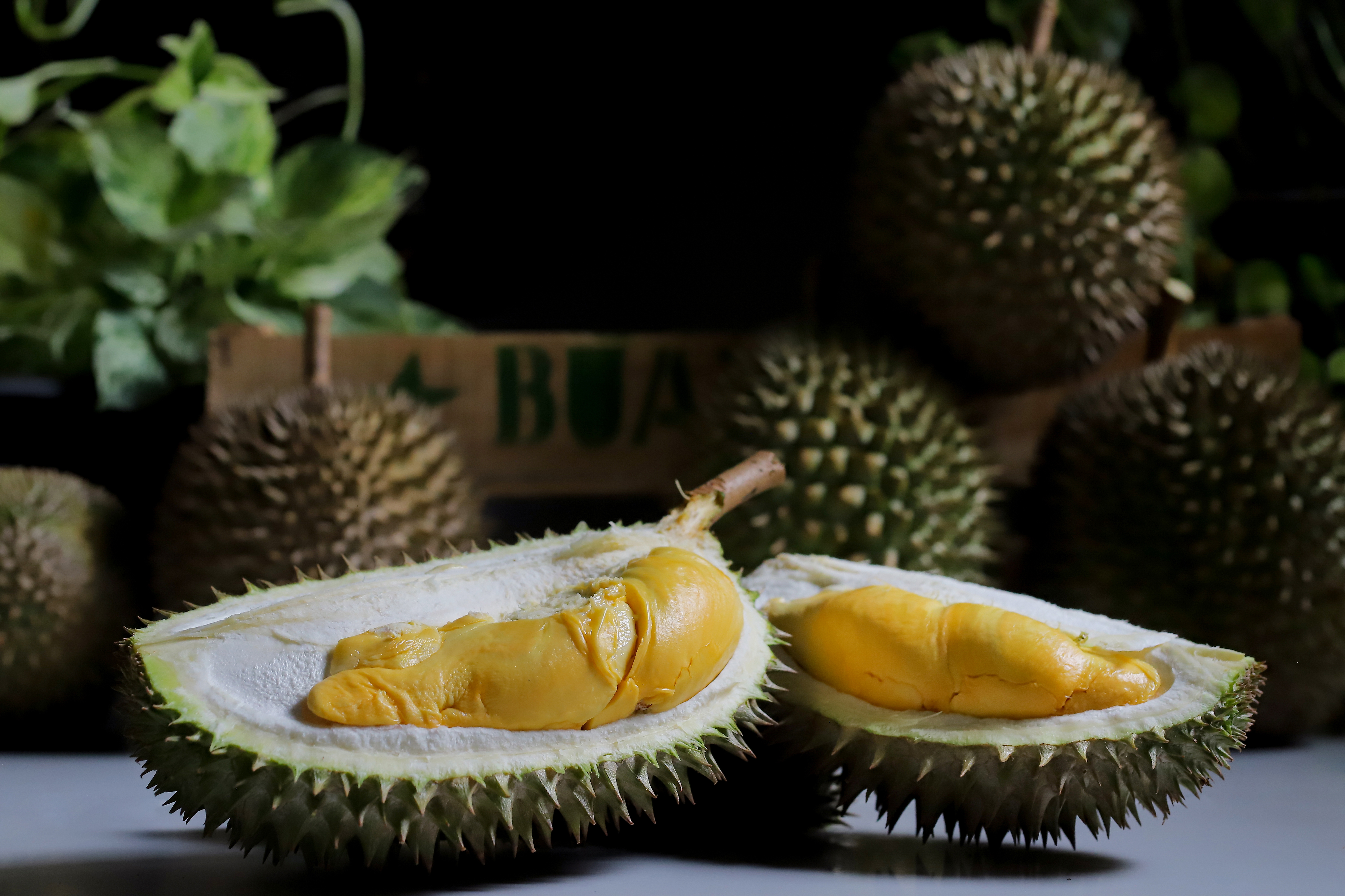 Trat Fruit Fair