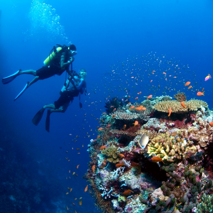 Diving & Excursions at Centara Grand Island Maldives