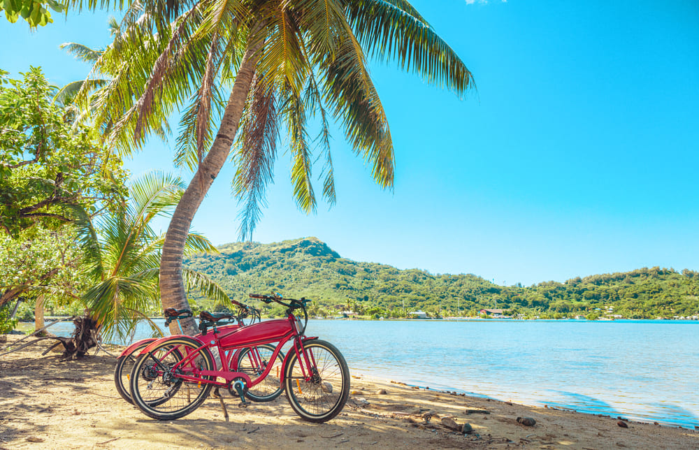 E-bikes parked beside the beach