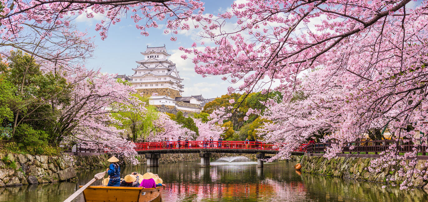 Japan Destination