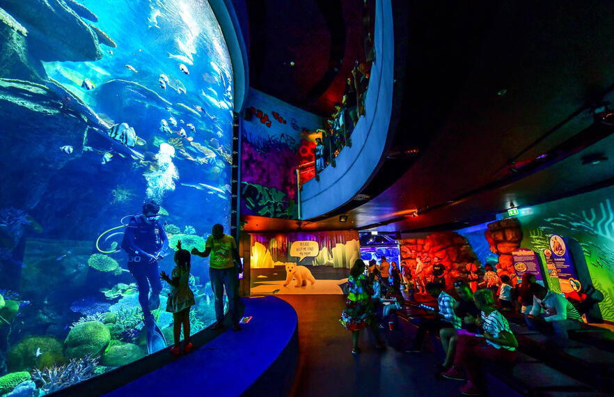 4 Bangkok Indoor Activities to Make Every Day a Blast