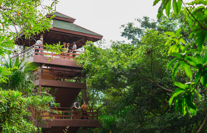 Bangkok’s Hidden Gem: Bang Krachao