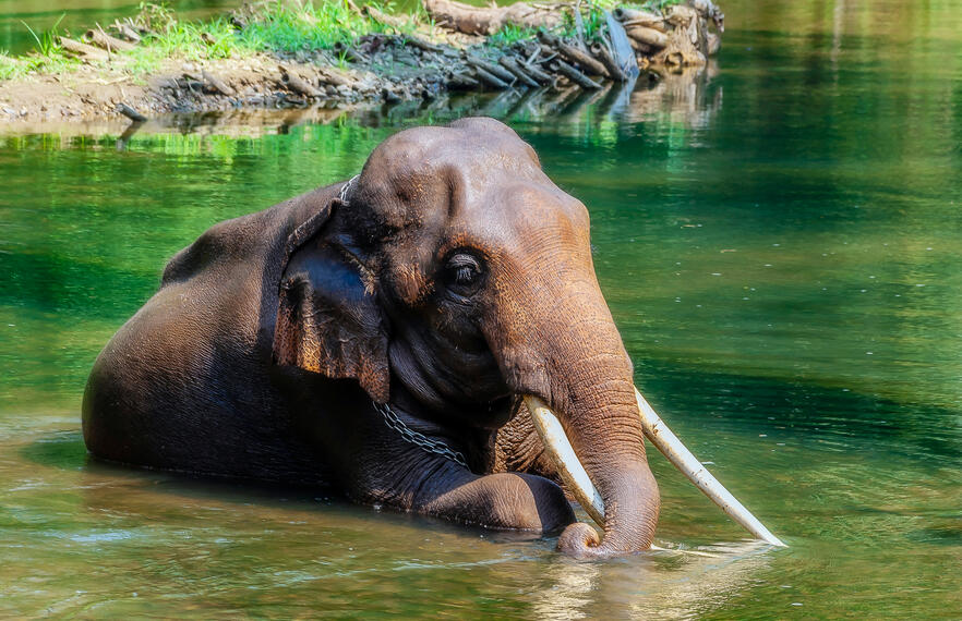 Check out these excellent beach activities on Koh Chang