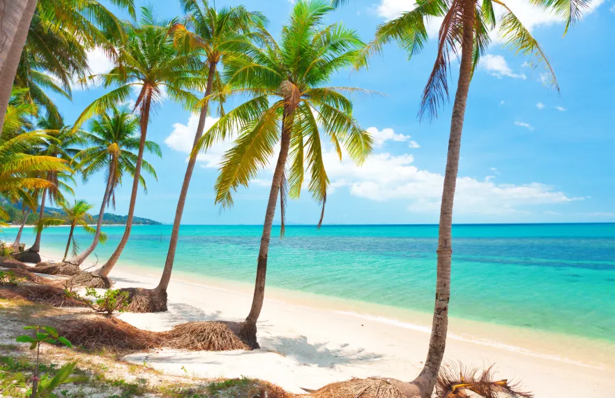 The best places to celebrate your anniversary in Thailand