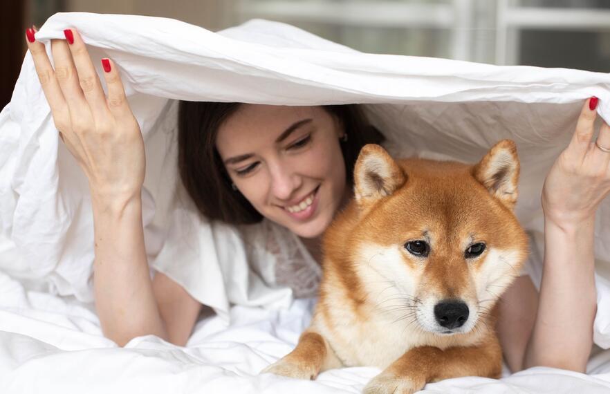 pet friendly