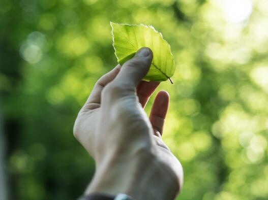 Eco-friendly accommodation by Centara Hotels & Resorts