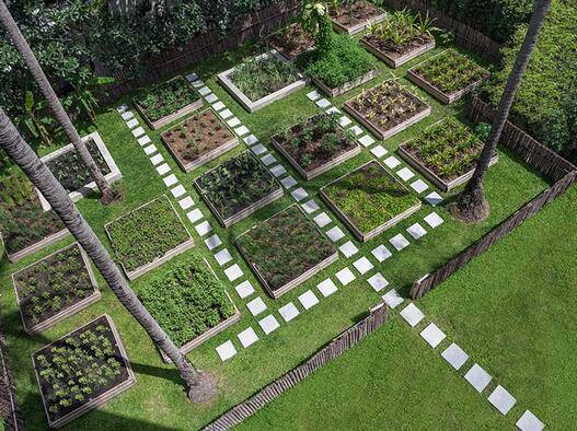 Green travel destination with a tree planting initiative by Centara Hotels & Resorts