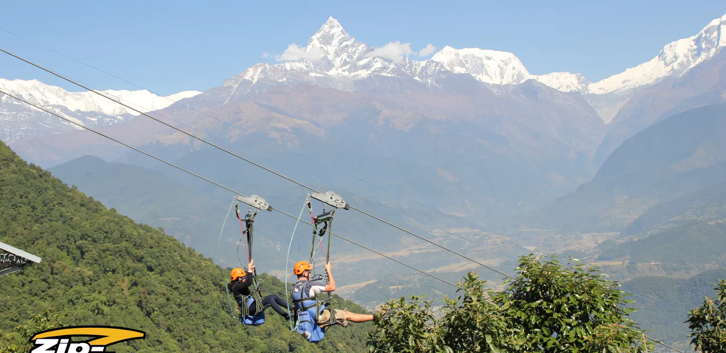 Zip Flyer