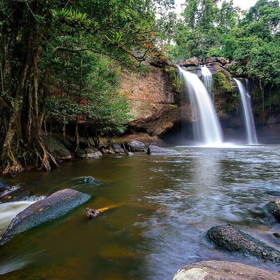 khao yai national park